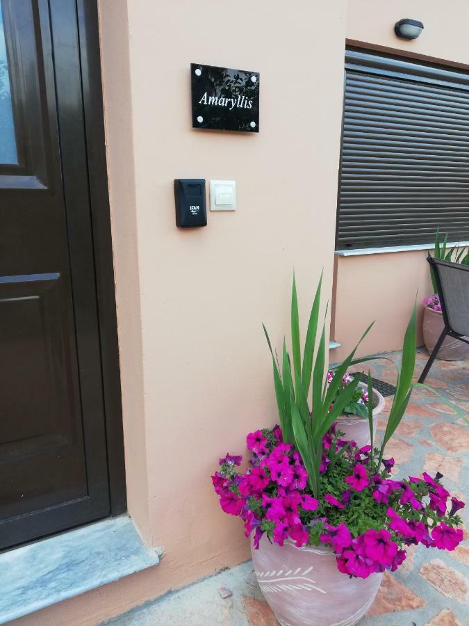 Dimitra - Loft Apartments Corfu  Екстер'єр фото